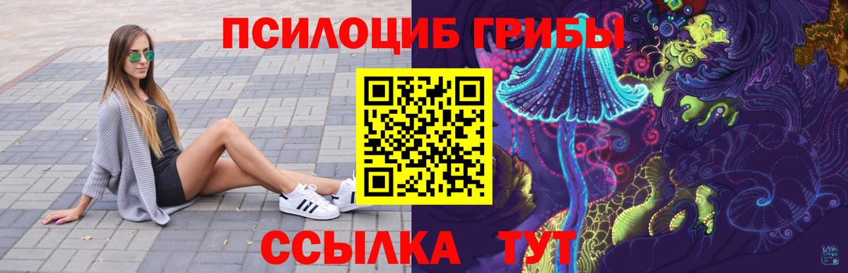 наркота  Вход с VPN  Выборг  Псилоцибиновые грибы Cubensis 