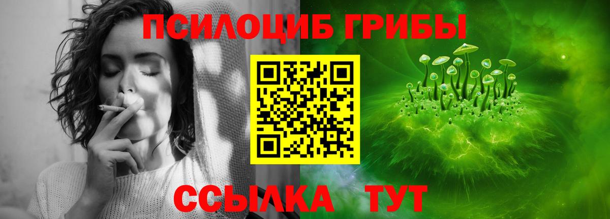 Псилоцибиновые грибы Psilocybine cubensis Выборг